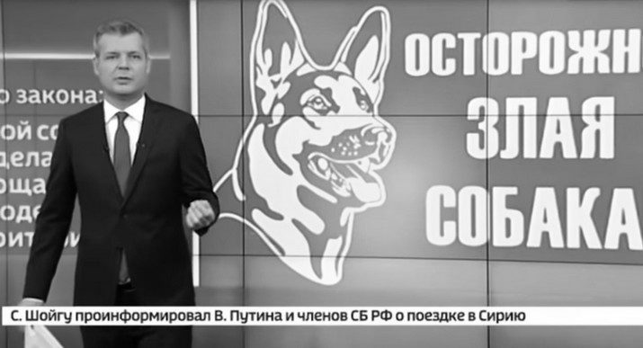 Новый закон вызвал вопросы у Российской кинологической федерации — Россия 24