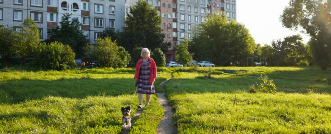 Кинолог Голубев разъяснил, чем опасен для собак самовыгул
