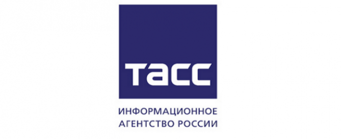 В РКФ считают, что подход к решению проблемы бездомных животных зависит от региона