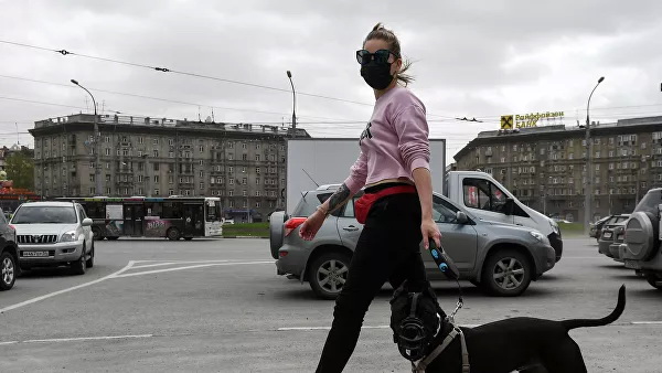 Кинологи дали советы владельцам собак по выходу из самоизоляции