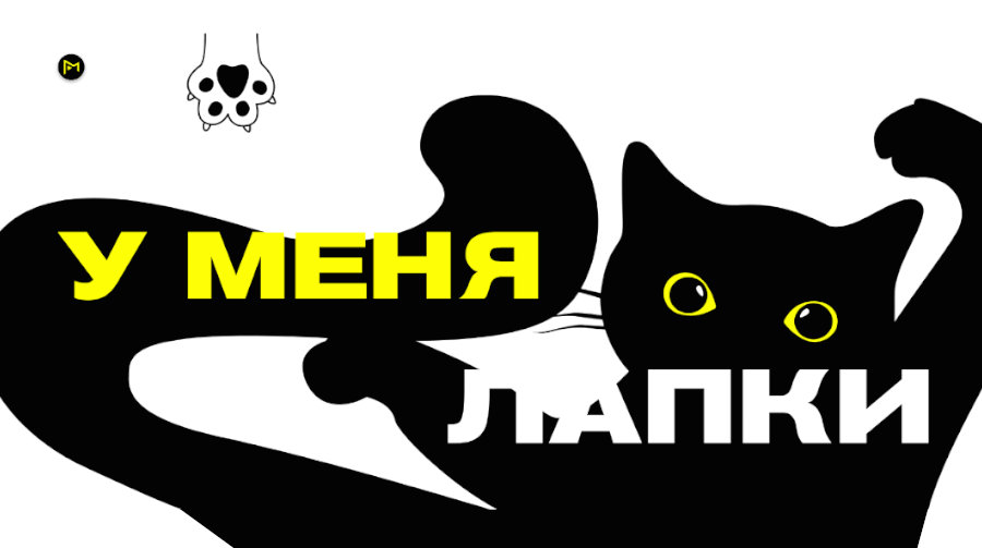 У меня лапки