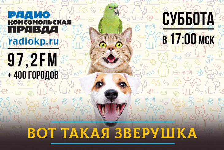 Настоящее и будущее породного разведения. Российской кинологической федерации - 30 лет